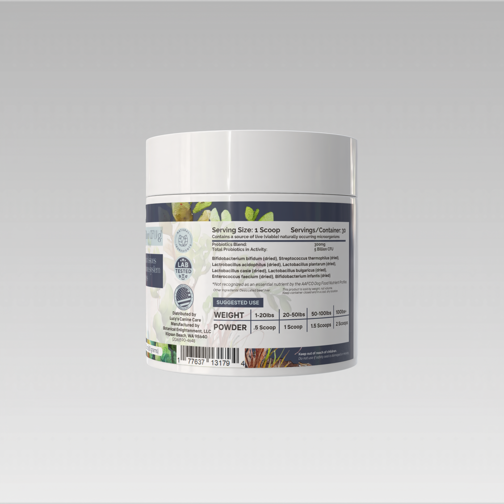 Balanced Gut Probiotics (Digestion + Energy)