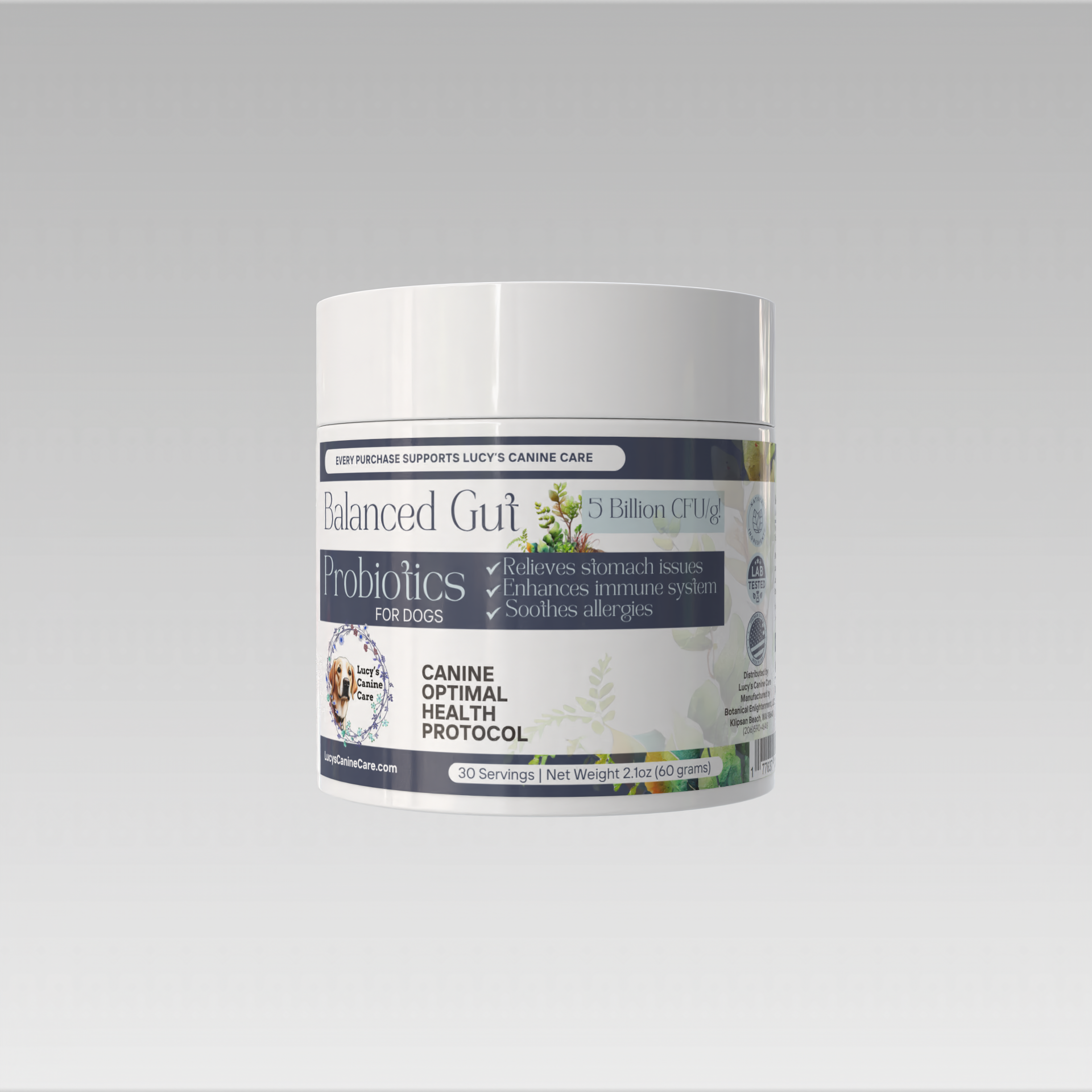 Balanced Gut Probiotics (Digestion + Energy)