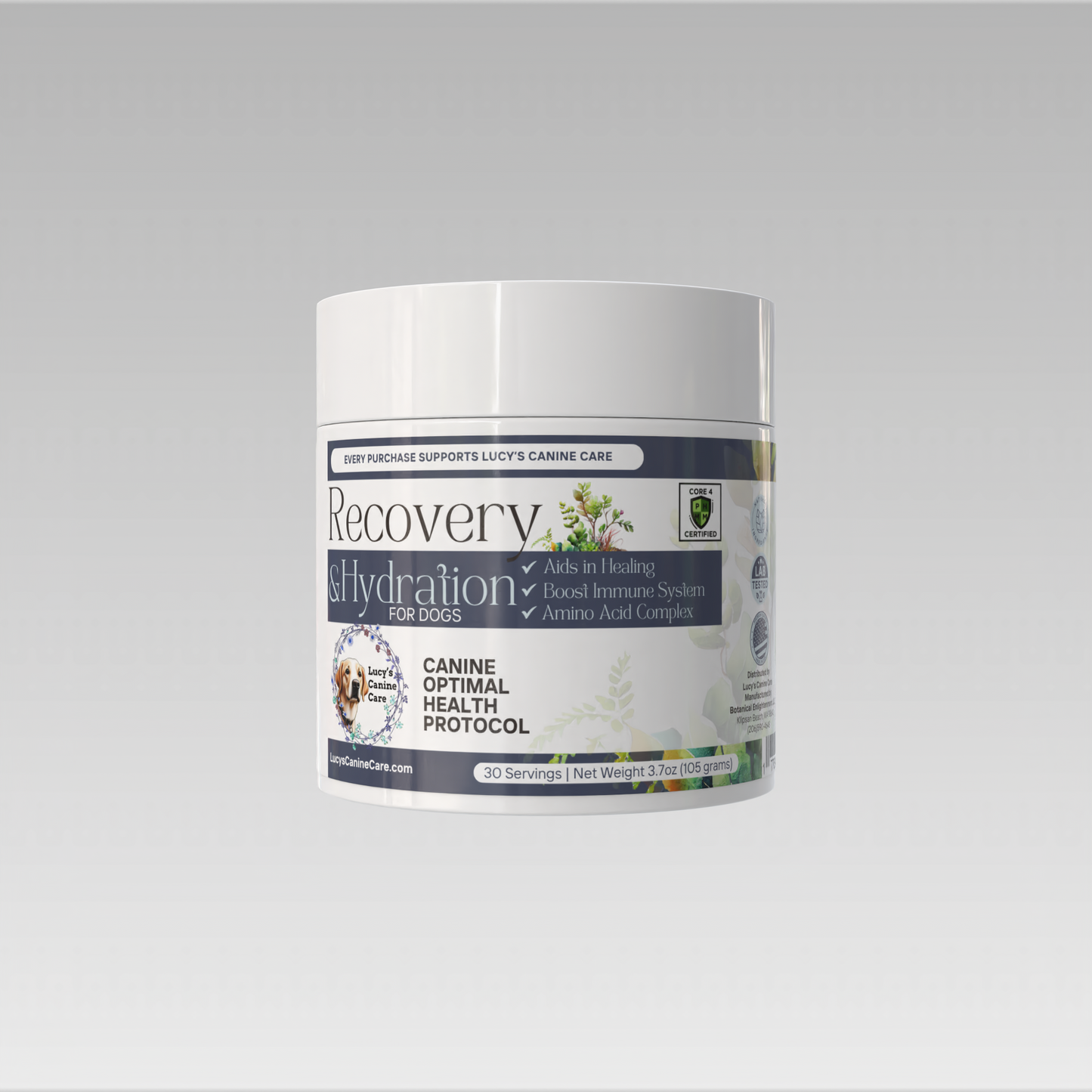 Recovery & Hydration (Kidney and Urinary Tract Health)