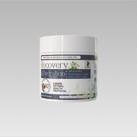 Recovery & Hydration (Kidney and Urinary Tract Health)