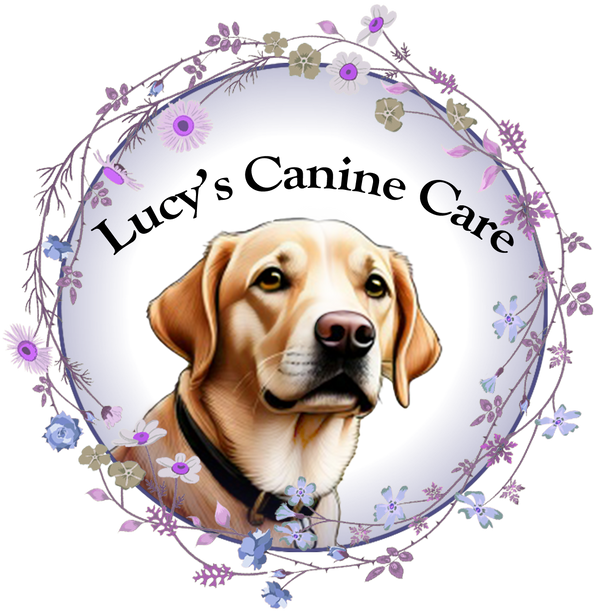 Lucy's Canine Care
